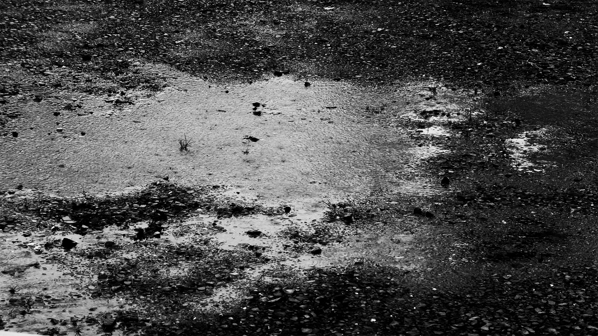 雨上がりの地面と水たまりを写した白黒写真